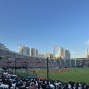댕냥이 간식 공방 (8월) | 벌써 7월 끝이라고?