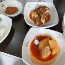 상황황제오리 이미지