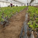 종순농장 이미지