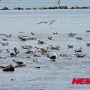 남해바다풍경 이미지