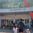 건강밥상으로 가족건강 지키자 | [경주 아이랑 추천] 놀면서 배우는 체험학습! 경주 버드파크 후기