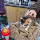 세븐일레븐 양주한양수자인점 이미지