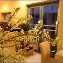 아이올라 이미지