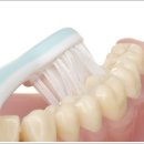 서울샘치과의원 이미지