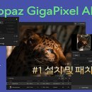 [포토샵 5월 특강] Topaz Gigapixel AI 7.1.3 이미지