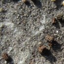 푸른별유치원 이미지