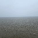 안흥식당 이미지