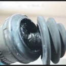 하이카동백점 이미지