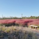 블랜드미(BLENDMI) 이미지