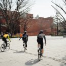 라파마을 이미지