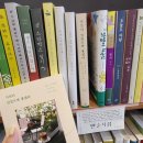 비치스브류 | 240314 제주 함덕해수욕장 오션뷰 LP 바 카페 후기 [비치스브류] (+만춘서점/ 서우봉 개화 상태)