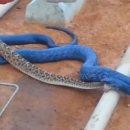 (주)인디고 이미지