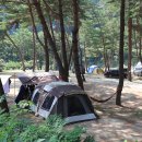 구룡산 오토캠핑장 이미지