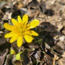 무시(무) 이미지