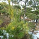 정호 농장 이미지