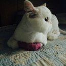 남창원동물병원 이미지