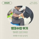 행복한 꼬마 거북이 이미지