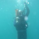 프렌드샾 이미지