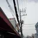 부전기장골목시장 | 부산 부전시장 맛집 원조기장산곰장어 부전본점