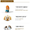 오구 수제간식 | 강아지 치석 제거에 좋은 덴탈크린볼 애견 껌 수제 간식 후기