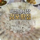 감포어시장 | 봄 도다리 맛있는 곳! 마산 어시장 감포 횟집 솔직 후기
