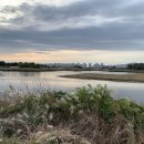 사회적기업 푸른하늘 이미지