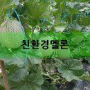 두리바이오