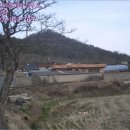 서구-02-54 이미지