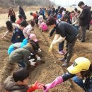 용산초교 이미지