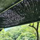 반석민박 이미지