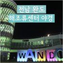 완도홈마트 | 완도 카페 커피스업 COFFEE'S UP & 완도항 해변공원 해조류센터 야경