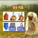 원광대학교 보건환경대학원 이미지