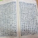 단비고집 이미지