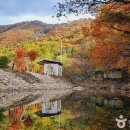 양평 휴 캠핑 워크샵 | [경기도 양평군] 산수화(山水花)