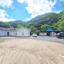 느티나무민박 이미지