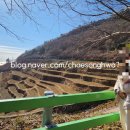 남면로-2 이미지