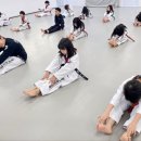 눈부시게 빛나는 태권도장 이미지