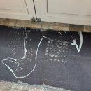 신도시로 | 검단신도시 ‘트레페베이커리’카페 후기(버터떡/당근라페)