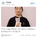 큐티댕냥 하남 본점 강아지 고양이 분양 이미지