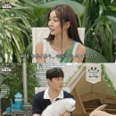 털뭉치들 이미지