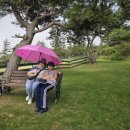 조산목장 이미지