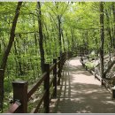 오감연결길 이미지