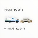 시티팰리스 | 갈마동 시티팰리스 이사 커튼명장 대전점 선택 핵심 기능성 소재 점검표