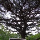 에덴병원 이미지