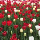 우면산3-19 이미지