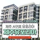 유포리아컨설팅