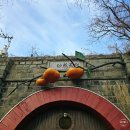 와인터널주차장 | 경북 겨울 가족 여행 추천 청도 와인터널 주차장 입장료 총정리