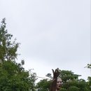 윤희순 동상 티스토리