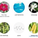 수정인셀덤 - 강동구 | 수정인셀덤
