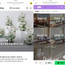 핀아플라워 | 웨딩스튜디오 촬영 소품 준비물 조화 센터피스 플라워디렉팅 업체 가격